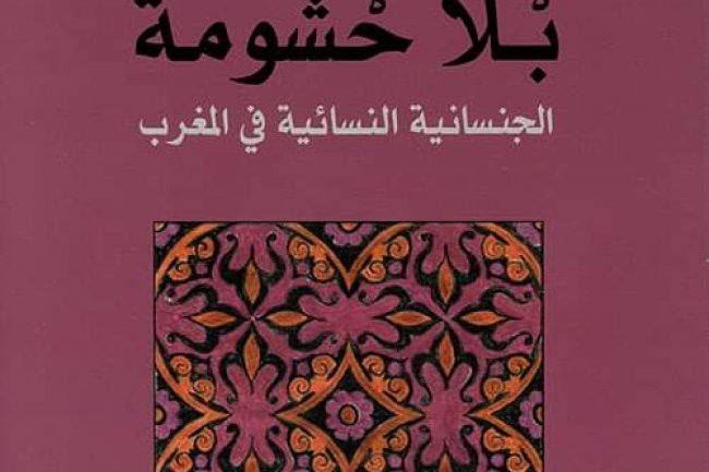 خديجة صبري: قراءة تحليلية في الكتاب المثير للجدل بلا حشومة 