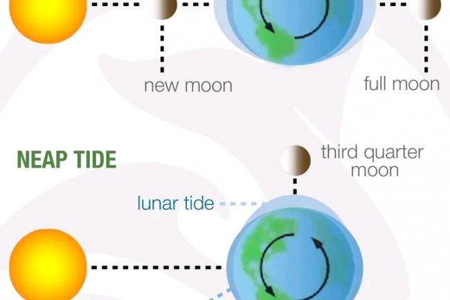 هل يمكن التنبؤ بالزلازل ؟