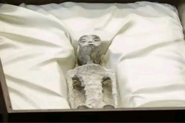 هل الكائنات الفضائية حقيقة علمية ؟ وما علاقتها بمقياس كرداشيف