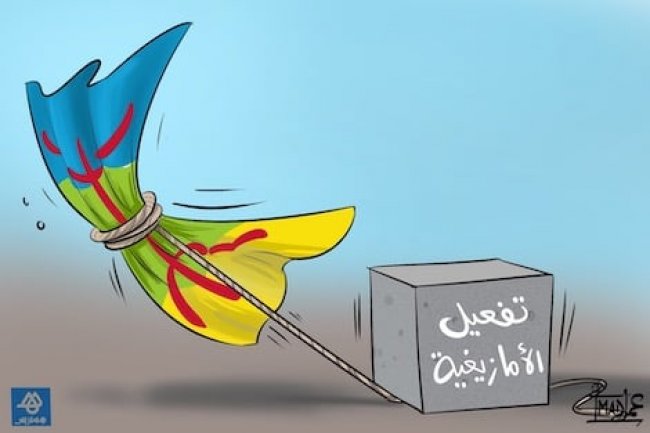 خديجة يكن: فاجعة الأطلس تفضح جهل المغاربة بلغتهم الأم و إقصاء الإعلام لها