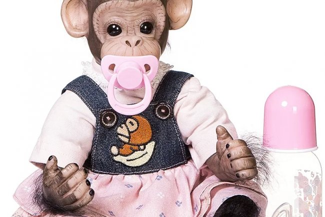 لماذا لم يصبح الإنسان قردا ؟