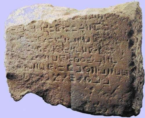 تاريخ لغات العالم الأمازيغي 
