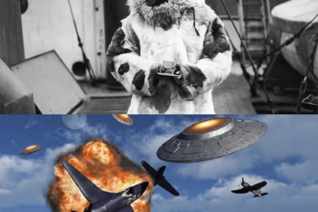 أسرار القطب الجنوبي و نظريات عن عالم مفقود