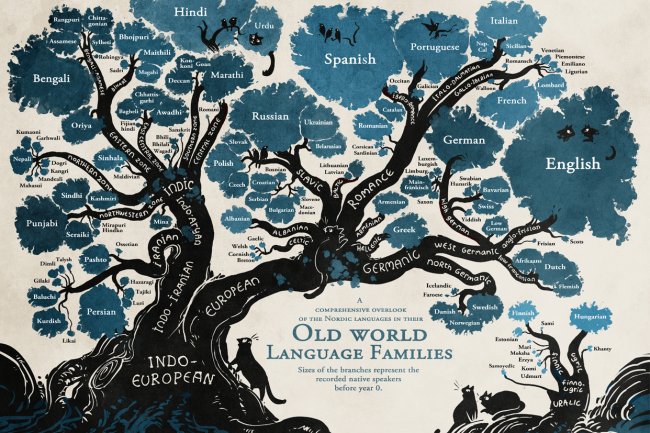 من تشكل الصوت إلى معنى الكلمة: تحليل تطوري بيولوجي للغة البشرية