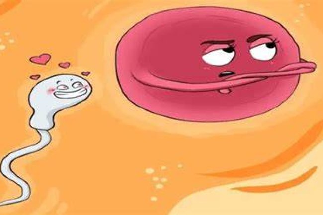 أنت لم تفز في سباق الحيوانات المنوية !