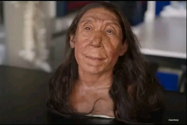 علماء ٱثار يتمكنون من إعادة بناء وجه امرأة من سلالة نياندرتال