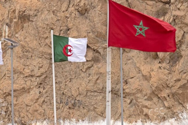 الجزائر: محطات من نكران الجميل و السقوط في فخ المستعمر